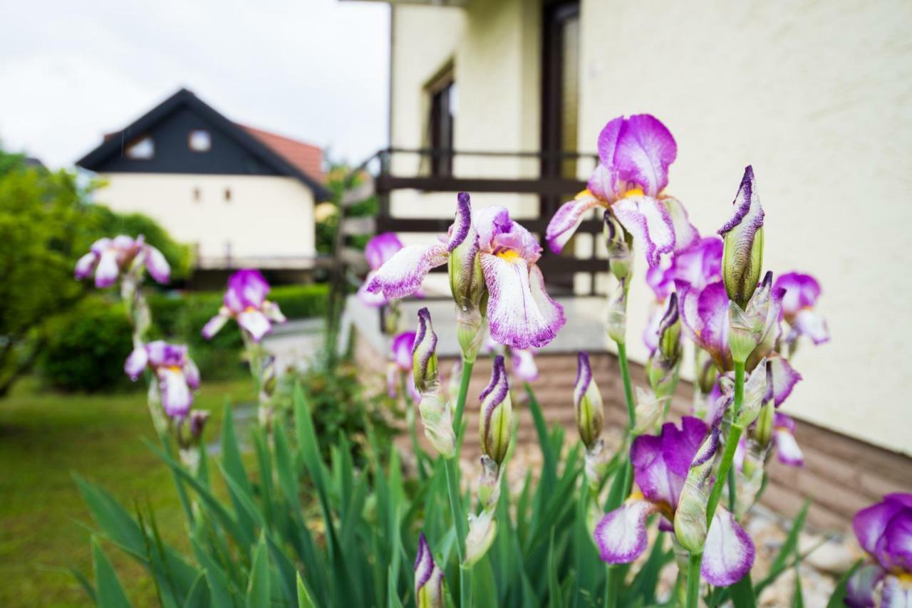 Apartma Ela Bled Exterior photo